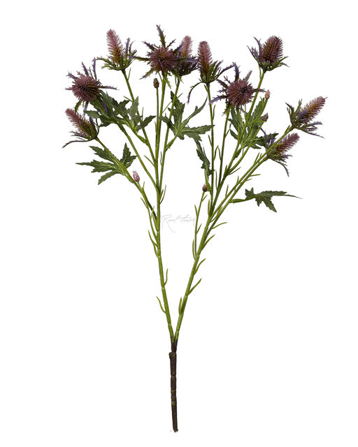 Эрингиум Супер Нова - Дымчато-лиловый - Real touch фото 2