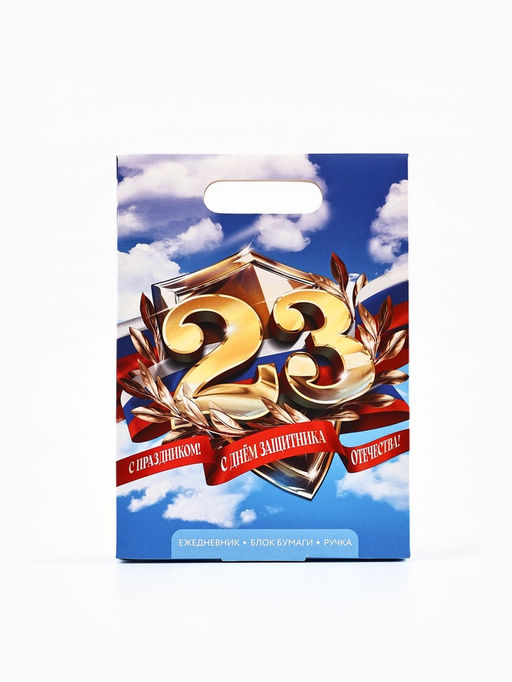 Подарочный набор, ежедневник А5, 80 л, блок бумаги, ручка «С 23 февраля. Небо»