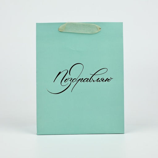 Цена за 2 шт. Пакет ламинированный «Поздравляю», MS 18×23×10 см