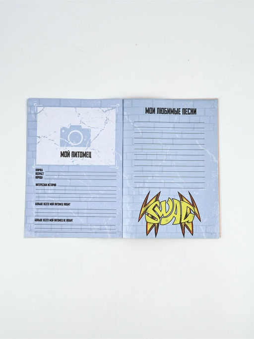 Набор: Анкета для мальчиков А5, 16 листов и ручка "23 Февраля"