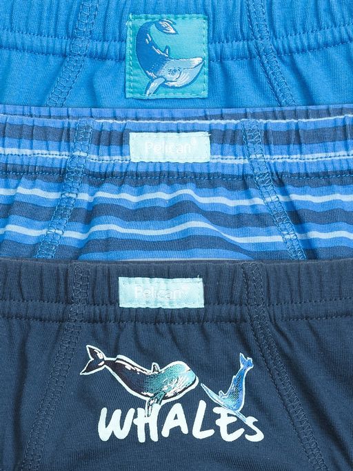 BULB3223(3шт. в упаковке) трусы для мальчиков - Pelican фото 2