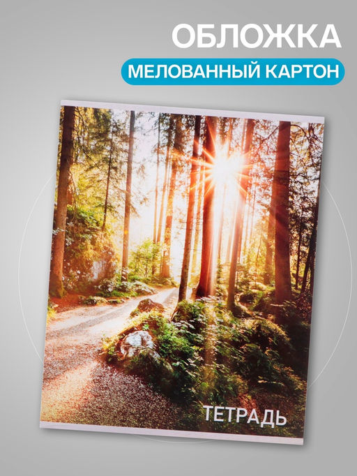 Набор тетрадей, 96 листов в клетку, Calligrata Природа, серые листы, 4 штуки  фото 2