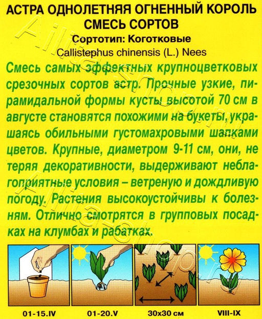 Астра Огненный король, смесь 0,2г (Аэлита)