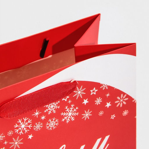 Пакет ламинированный вертикальный Праздник к нам приходит, MS 18 23 10 см - Дарите счастье фото 5