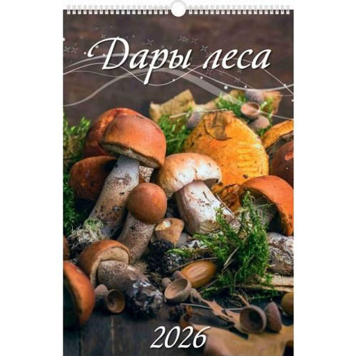 Календарь настен. перекид., с ригелем, 320*480мм, 2026г. "Дары леса" (0526050)