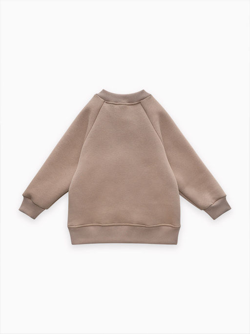 Толстовка футер начёс "Стейн" 30104