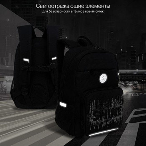 RG-464-3f Рюкзак школьный - Grizzly фото 28