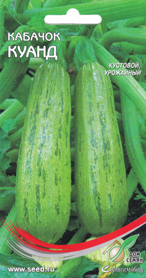 Кабачок Куанд