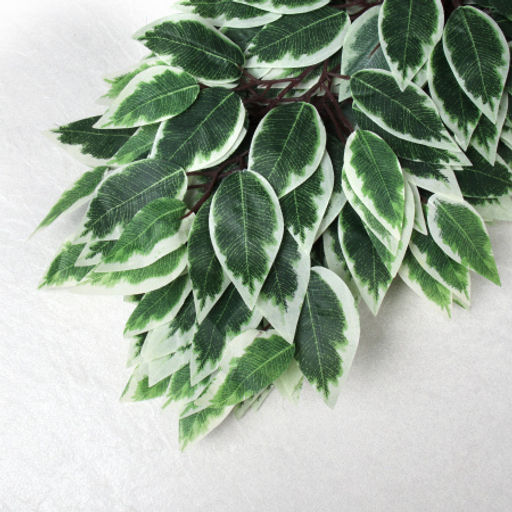 Искусственные листья 12 штук Фикус бело-зеленые / NA77-10 /уп 50/ - Галеонтрейд фото 4