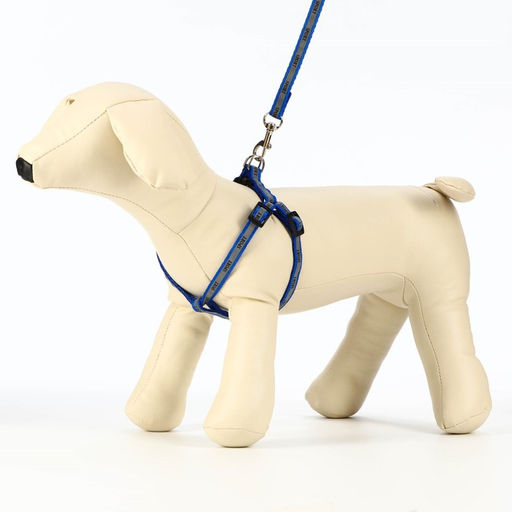 Комплект Спорт светоотражающий, поводок 120 х 1 см, ОГ 22-39 см, микс цветов - Пижон фото 4