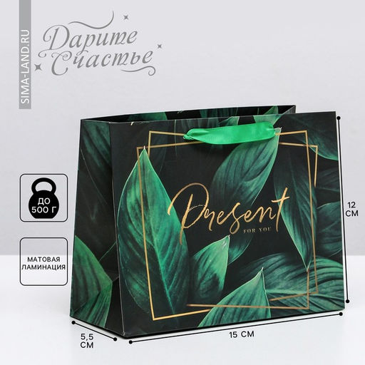 Цена за 2 шт. Пакет подарочный ламинированный, упаковка, Present for you, S 15 х 12 х 5.5 см