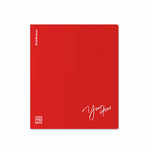 Цена за 5 шт. Тетрадь общая ученическая с пластиковой обложкой на скобе ErichKrause Words, красный, А5+, 48 листов, клетка_MIX-PACK  фото 16