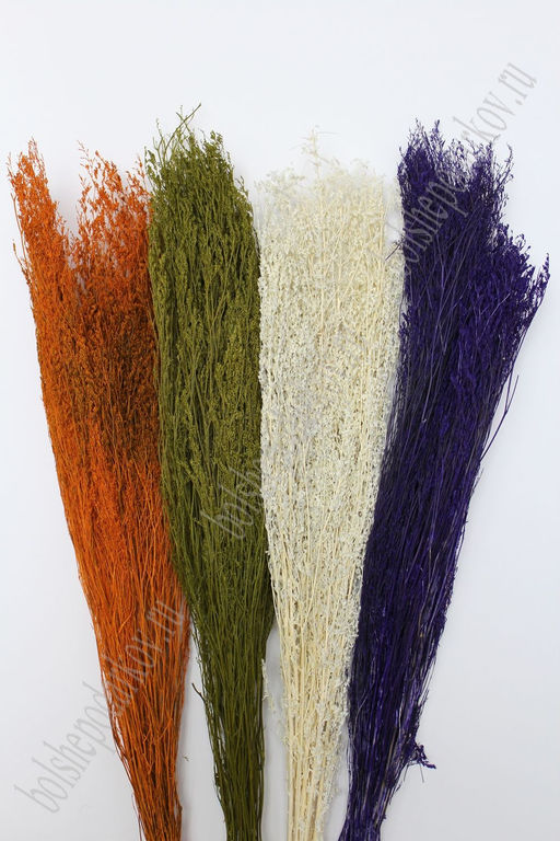 Сухоцвет декоративный (цена за пучок) в ассортименте
