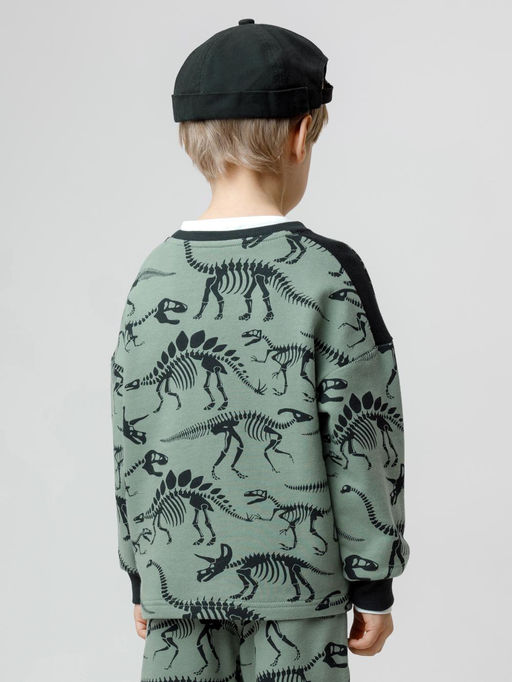 КР 302773/хаки 5107 Н029 к612 джемпер (свитшот) для мал