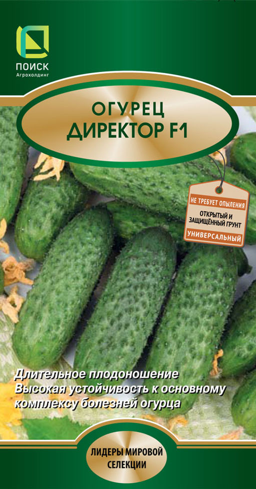 Огурец Директор F1 (ЦВ*) 5шт. - Поиск фото 2