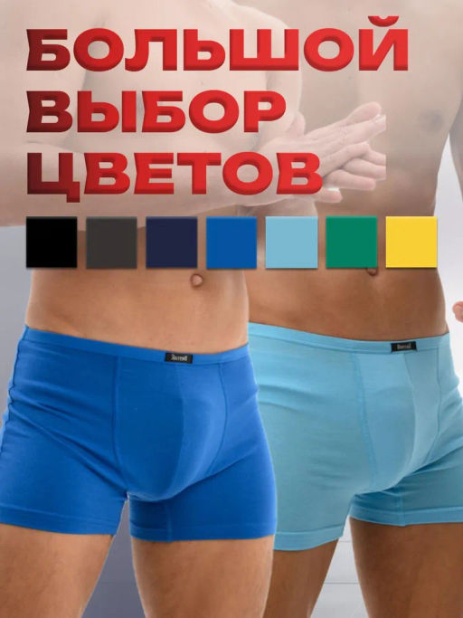 Мужские трусы Berrak 4488