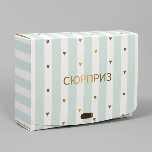 Цена за 2 шт. Коробка подарочная складная, упаковка, «Сюрприз», 20×18×5 см, БЕЗ ЛЕНТЫ