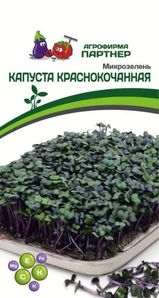 Микрозелень Капуста Краснокочанная