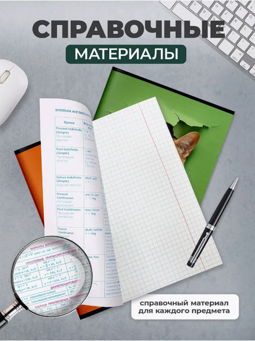 Комплект тетрадей 48 л. А5 клетка/линия, на скрепке,ЛЮБОПЫТНЫЙ КОТИК ,Schoolformat - Buro фото 5