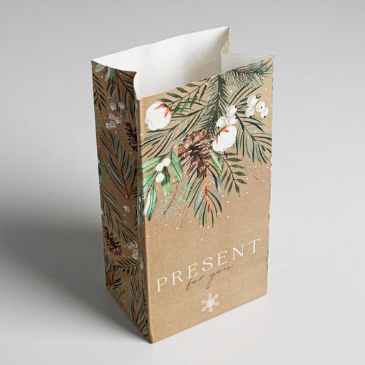 Цена за 10 шт. Пакет подарочный без ручек новогодний Present for you, 10×19×7 см