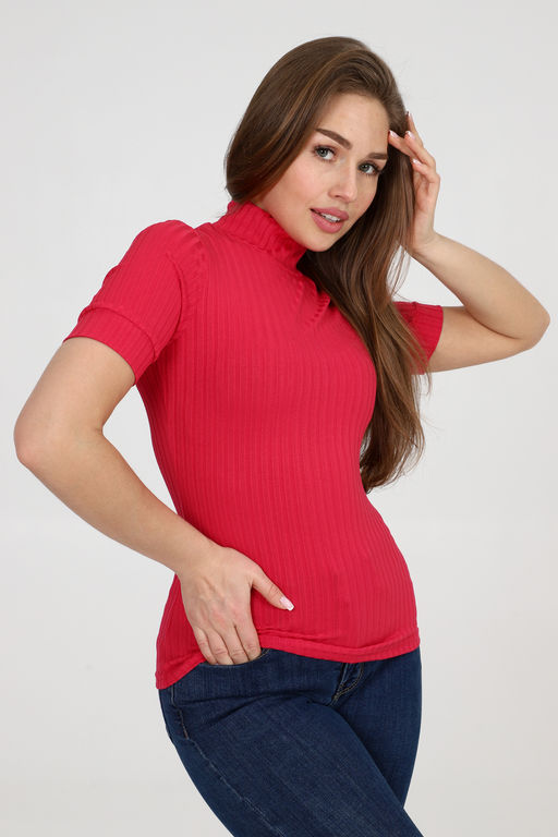 Водолазка 26001