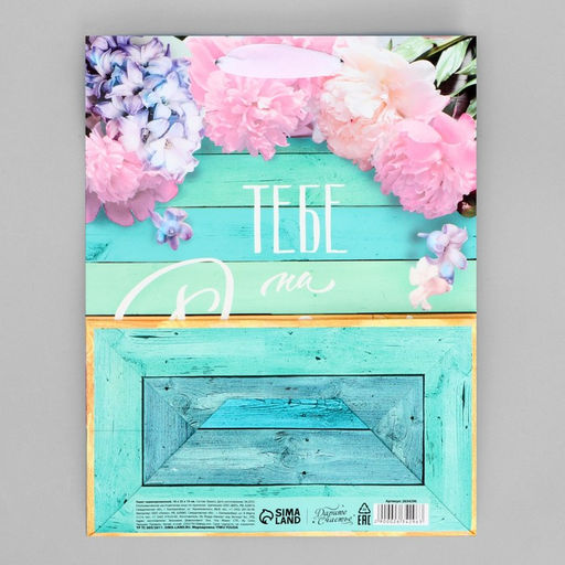 Цена за 2 шт. Пакет подарочный ламинированный, упаковка, «Тебе на радость», MS 18×23×8 см