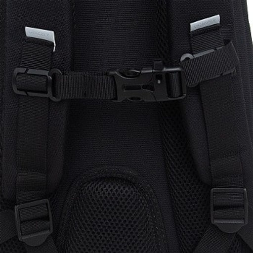 RG-464-3f Рюкзак школьный - Grizzly фото 19