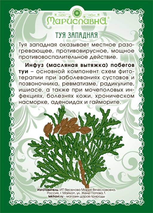 Масло туи (инфуз) 20 мл - Мариславна фото 3