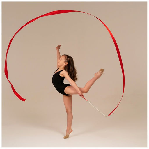 Лента гимнастическая с палочкой Grace Dance, 4 м, цвет фуксия  фото 5
