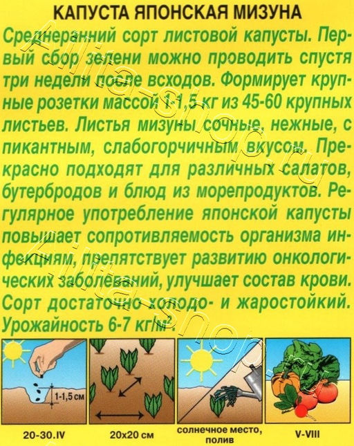 Салат Японская капуста Мизуна 0,5г (Аэлита)