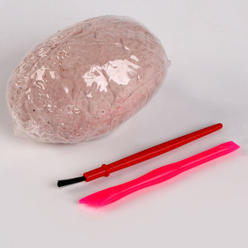 Раскопки с мягкой игрушкой «Дракоша», микс