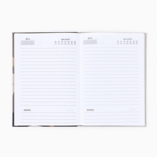 Ежедневник недатированный, А5, 80 л., твердая обложка «Учителю»