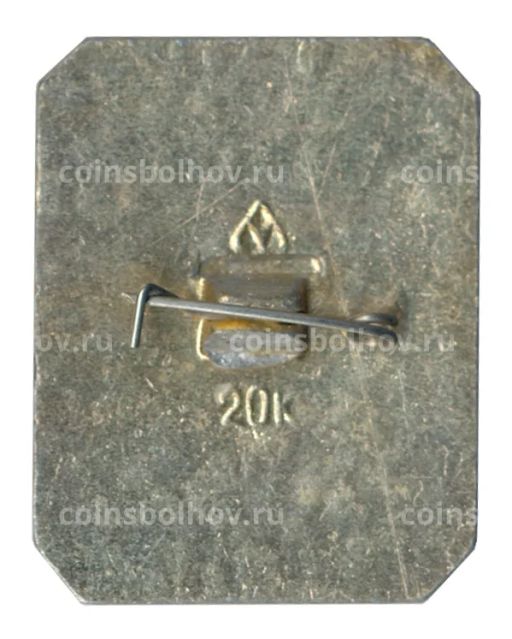 Значок Владимир