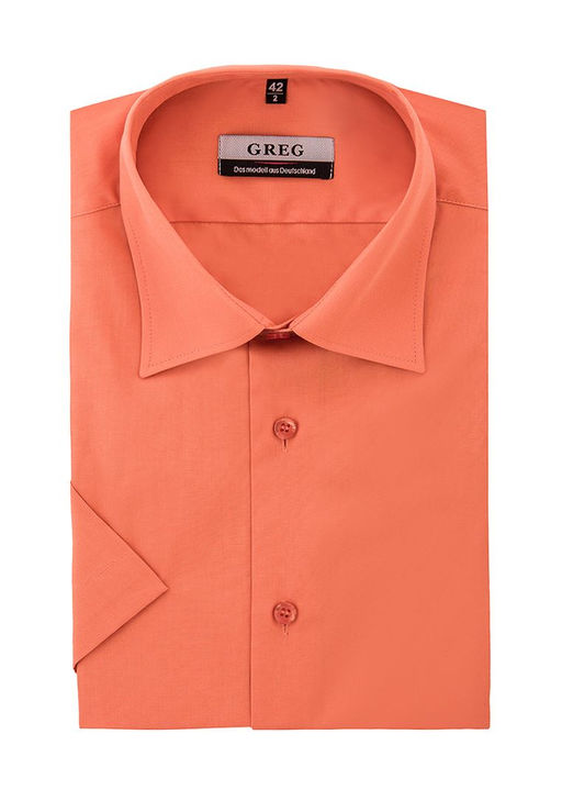 Сорочка мужская короткий рукав GREG 520/309/CAR фото 2