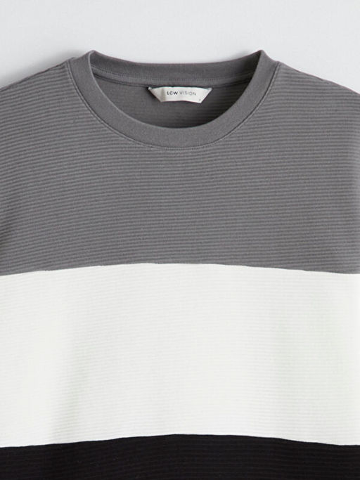 Bisiklet Yaka Renk Bloklu Erkek Sweatshirt