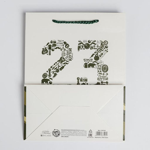 Цена за 2 шт. Пакет подарочный ламинированный, упаковка, «23 февраля», MS 18×23×10 см