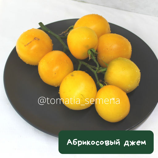 Абрикосовый джем - Tomatia фото 2