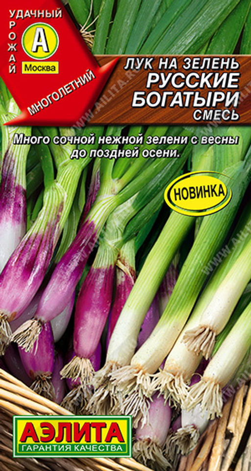 Лук на зелень Русские богатыри, смесь (2028)