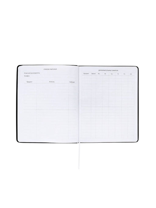 Дневник школьный 1-11 класс, deVENTE. Realistic, искусственная кожа, шелкография