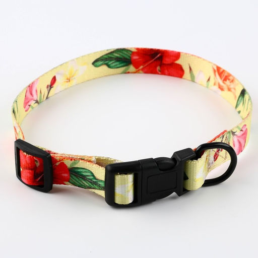 Набор Цветы, застёжка - фастекс, поводок 2 м и ошейник 28-46 см - Пушистое счастье фото 5