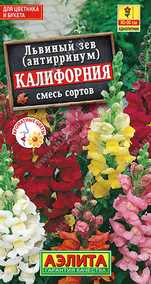 Львиный зев Калифорния, смесь сортов (2028