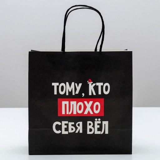 Пакет подарочный новогодний «Кто плохо себя вёл», 22 х 22 х 11 см