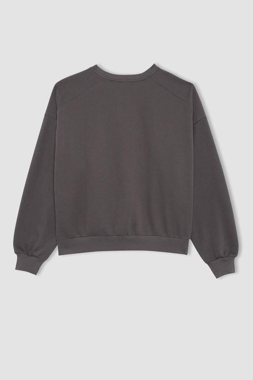 Толстый толстый свитшот Cool Oversize с круглым вырезом - Defacto фото 10