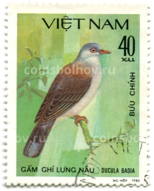 Марка Горный плодоядный голубь 1980 год Вьетнам