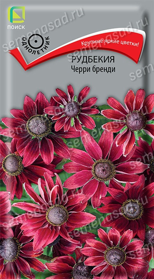 Рудбекия Черри бренди (ЦВ) ("1) 0,1гр