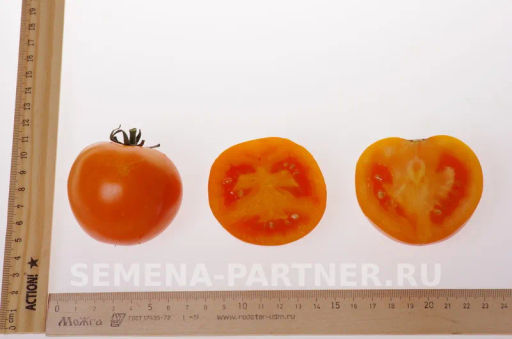 Томат Оранж Биф - Партнер фото 6