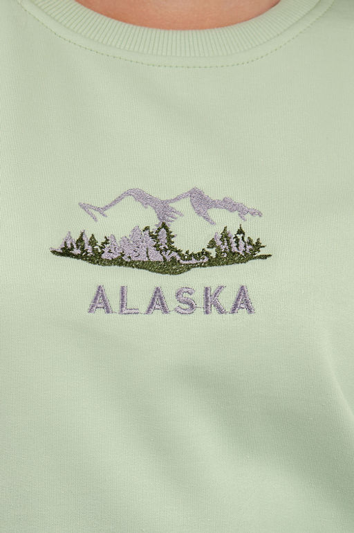 Арт.15112 Свитшот женский 44-52 (5 шт) Цвет:салатовый