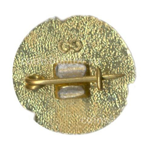 Значок Коньки