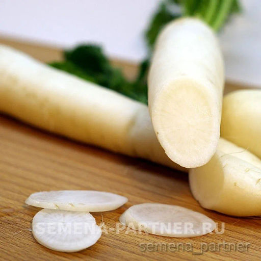 Дайкон Дубинушка - Партнер фото 3