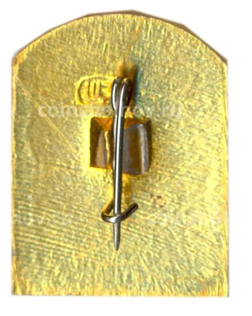 Значок Коломенское